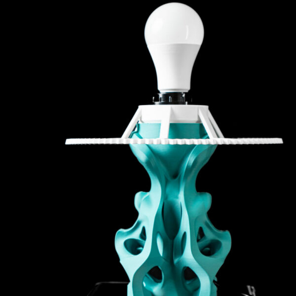 DSC04611 Flutter Stona Lampa