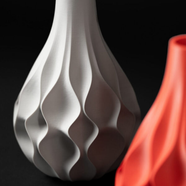 DSC09896 Abbysal Vaza