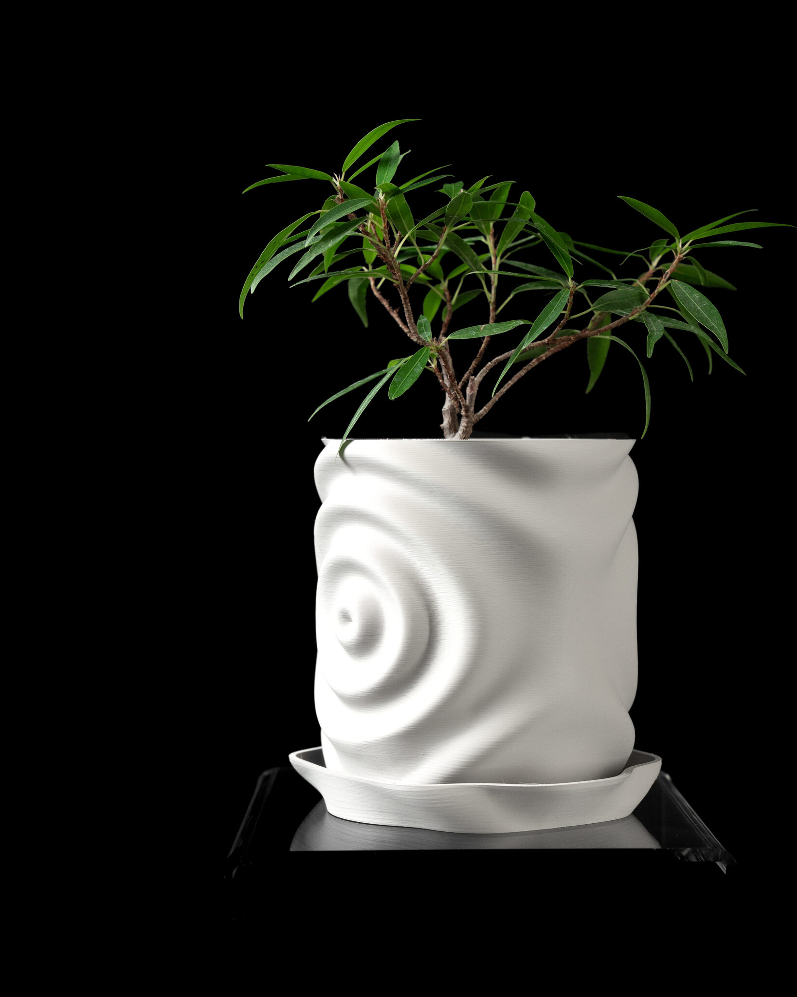 Waterdrop Planter