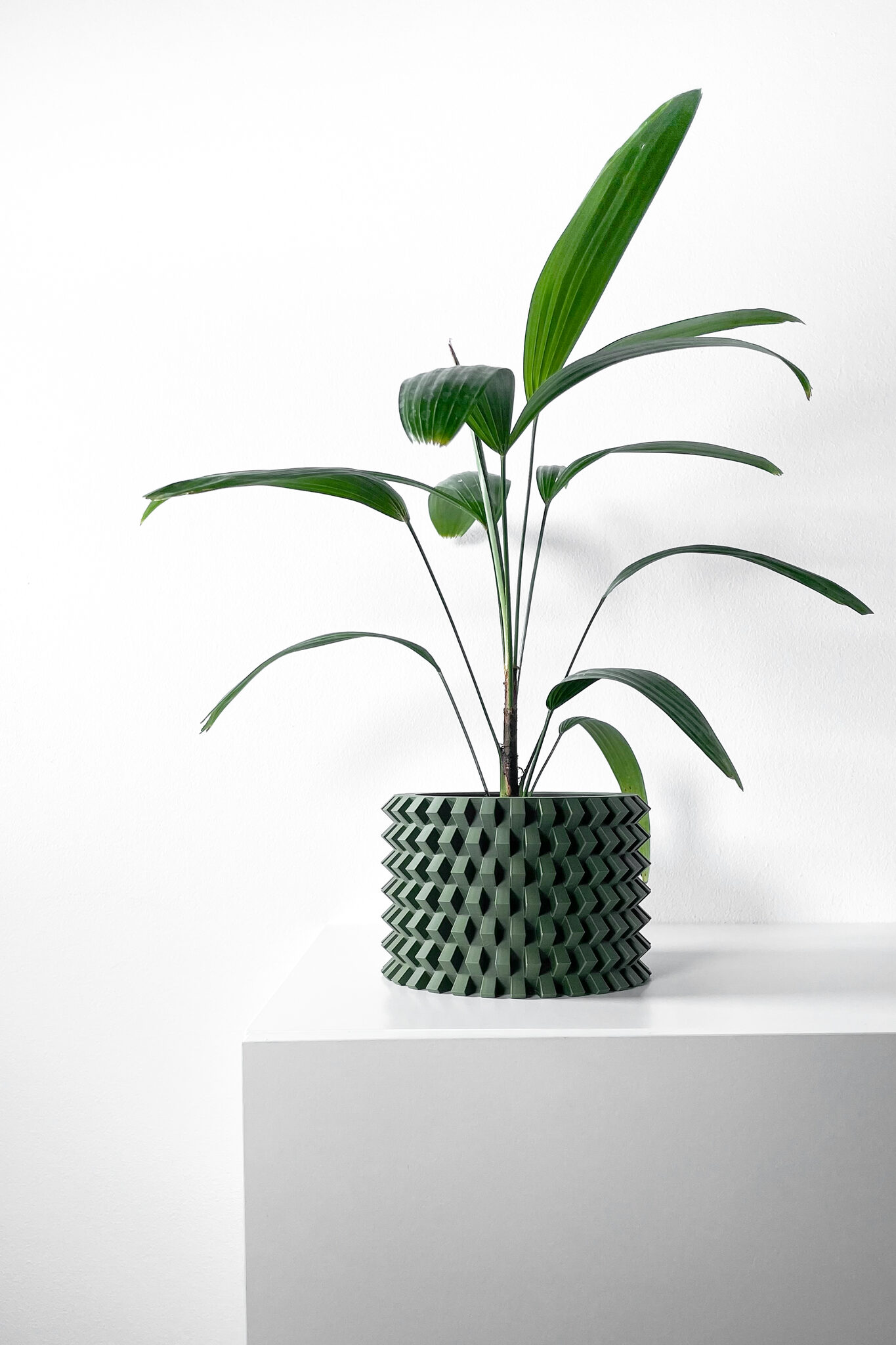 misprint-0211 Rilvo Planter