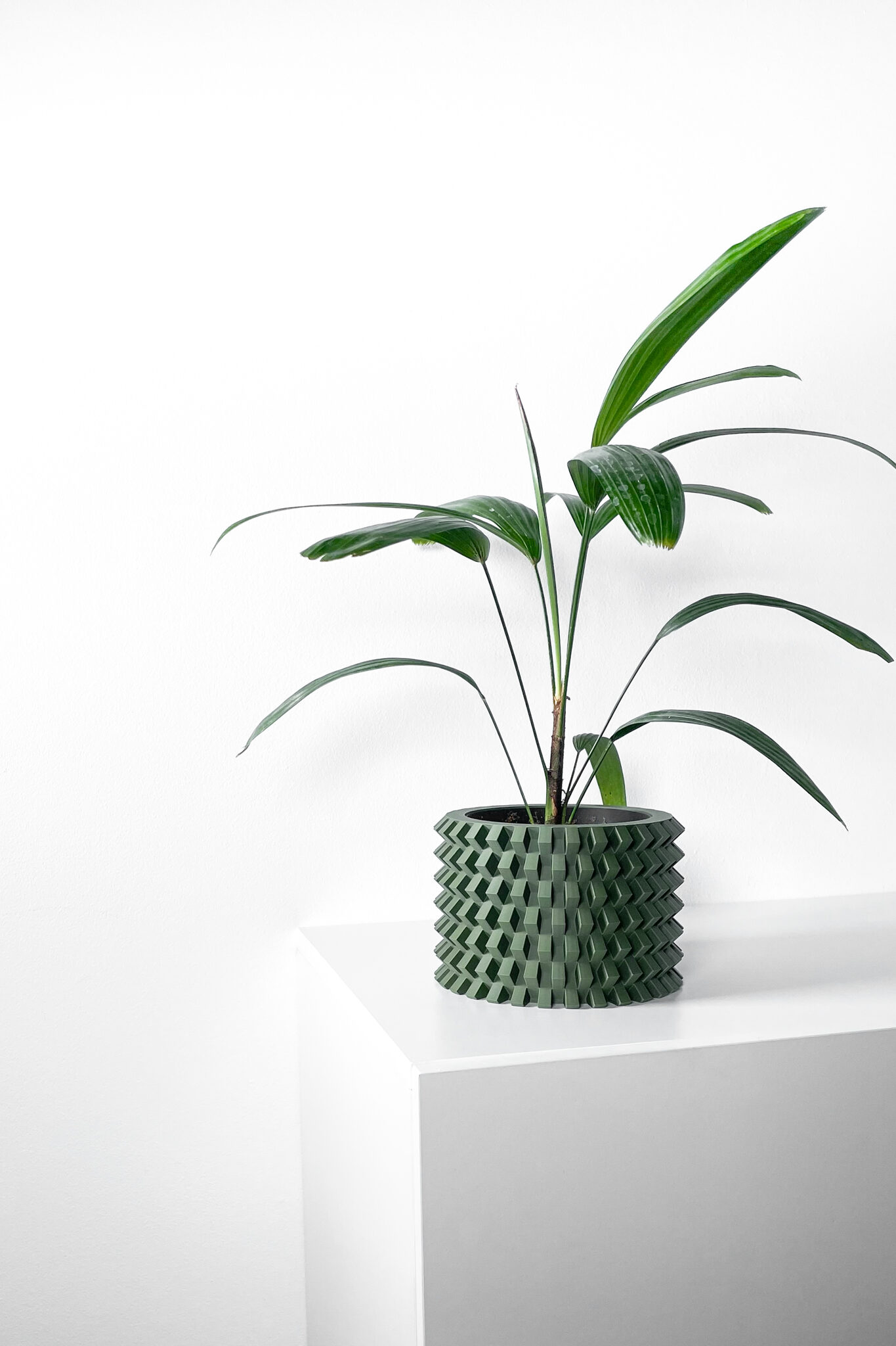 misprint-0212 Rilvo Planter