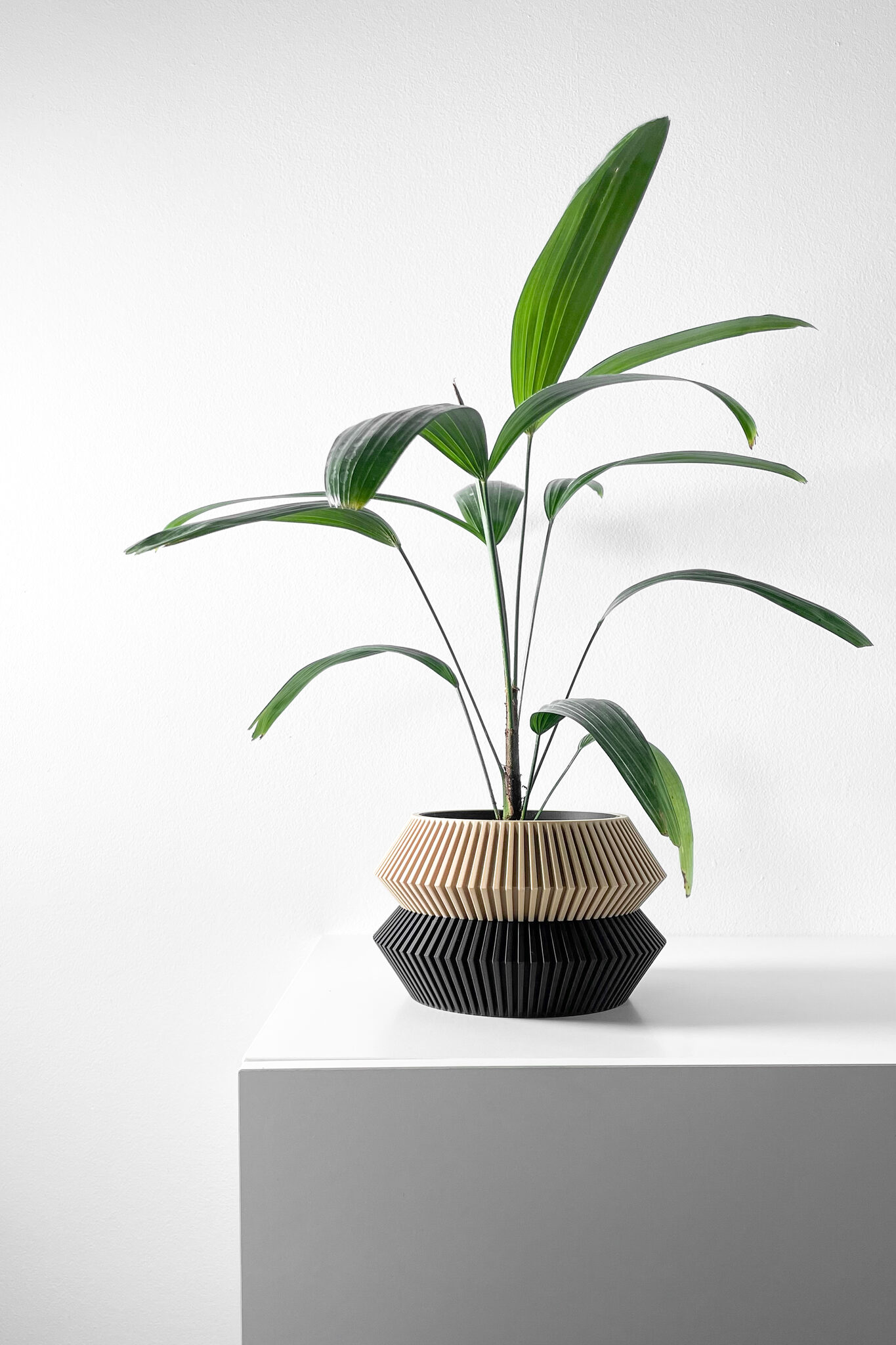 misprint-9911 Wenra Planter