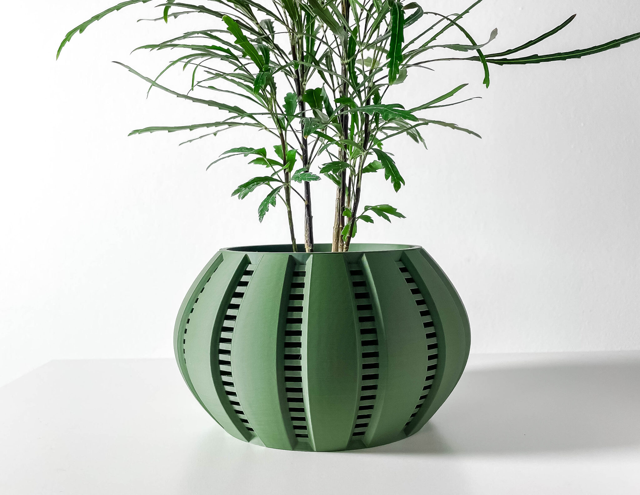 Balu Planter