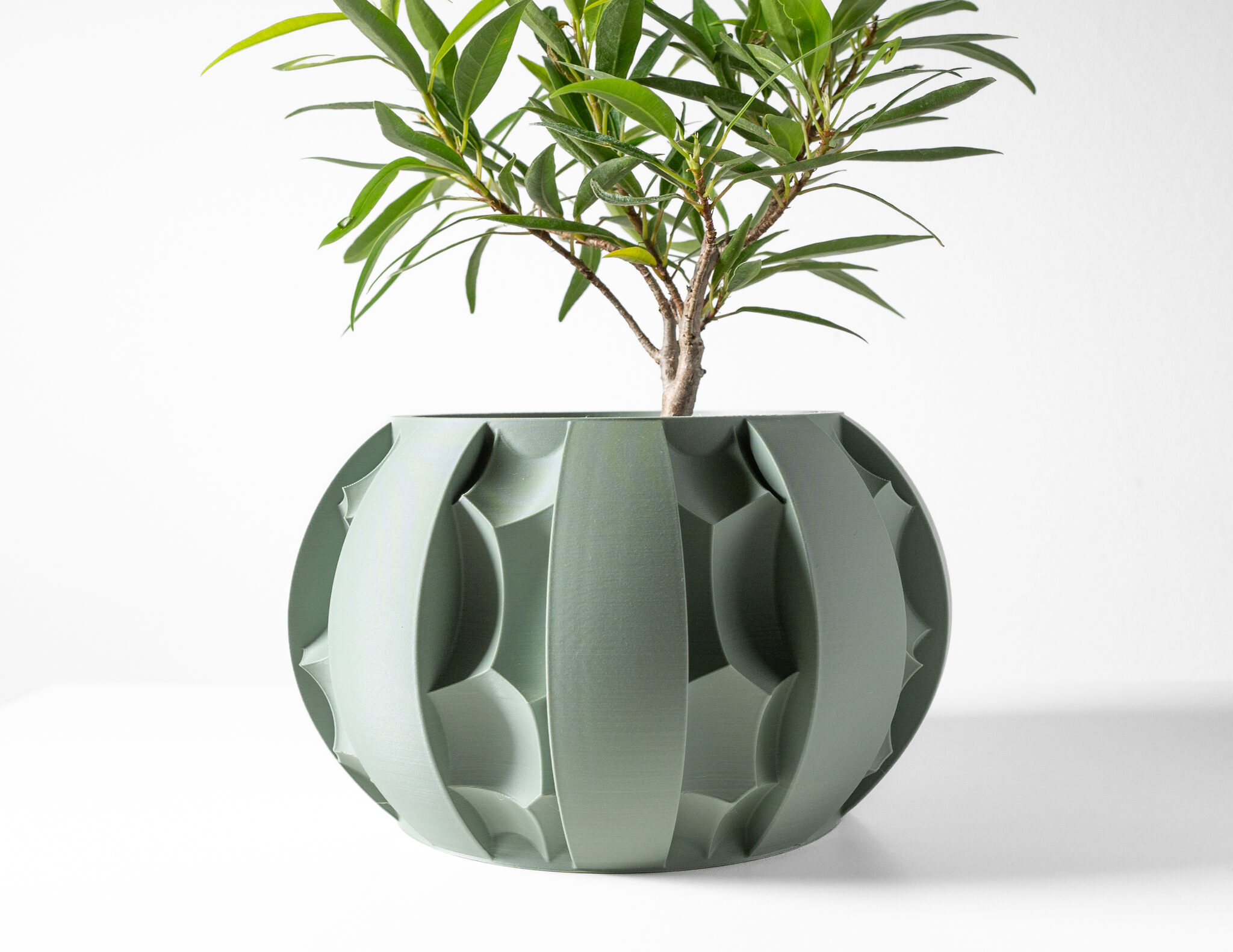 Erna Planter