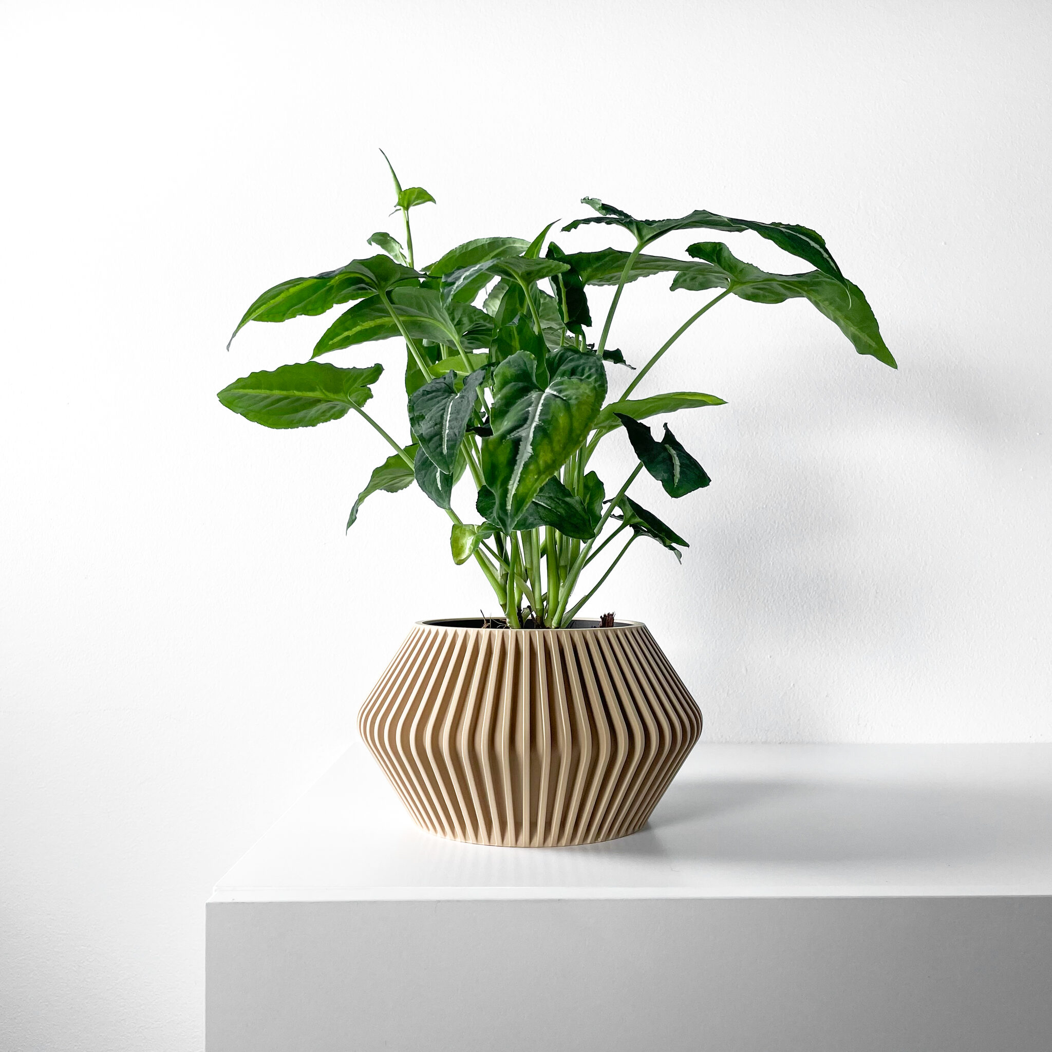 Hendro Planter