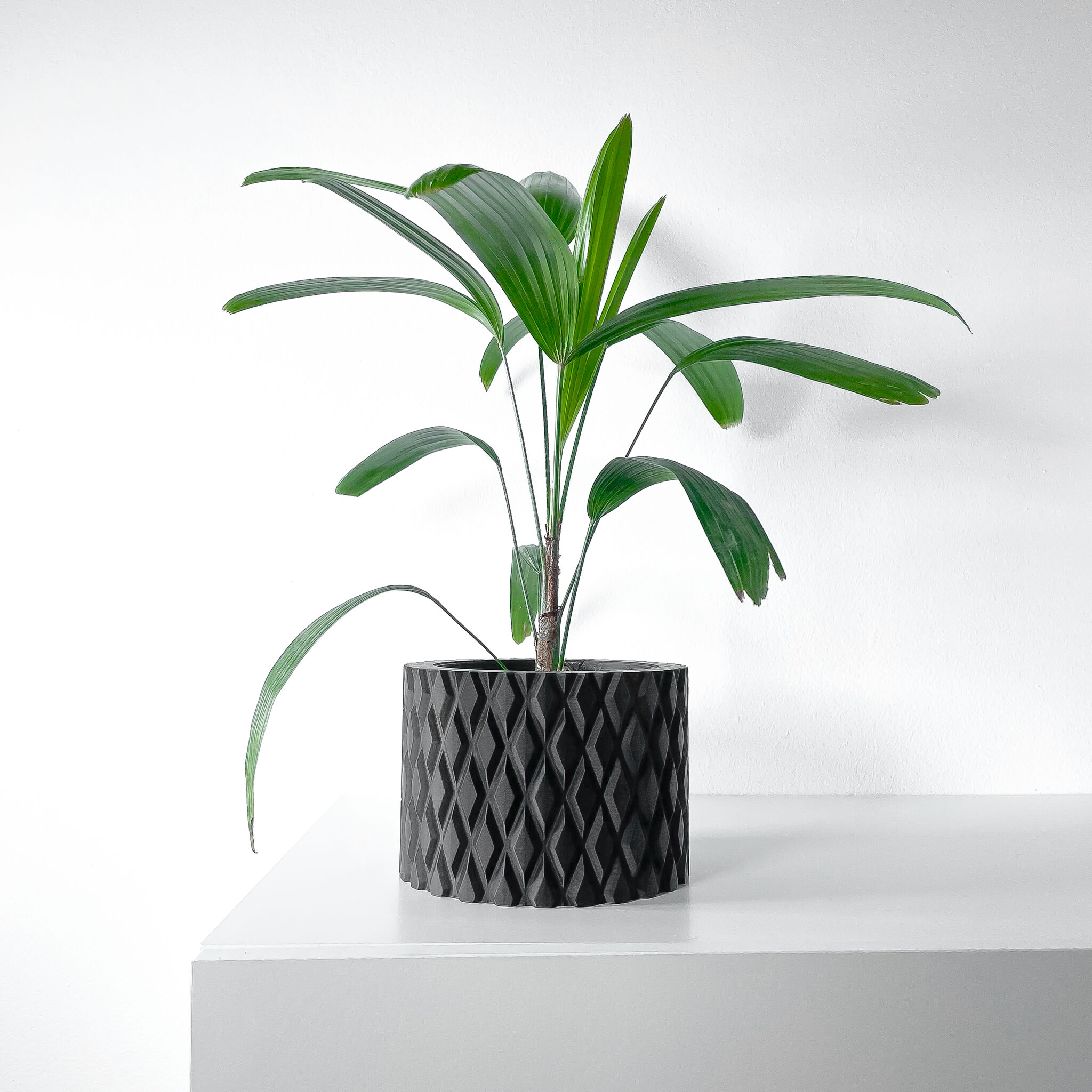 Pexil Planter