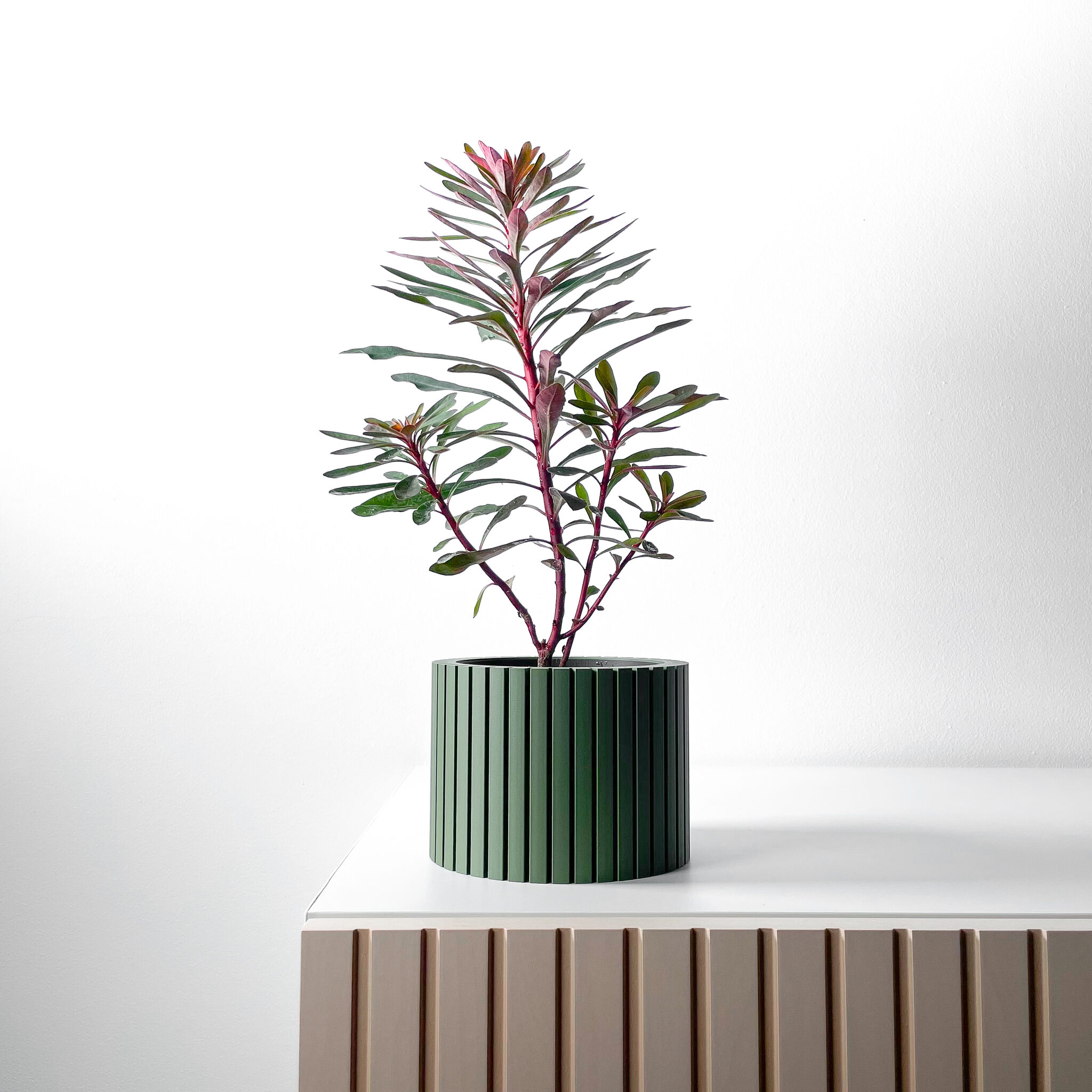 Zelno Planter